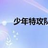 少年特攻隊（關于少年特攻隊的介紹）