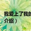 我愛上了我的妹妹（關于我愛上了我的妹妹的介紹）