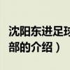 沈陽東進足球俱樂部（關于沈陽東進足球俱樂部的介紹）