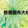 雅魯藏布大峽谷（關于雅魯藏布大峽谷的介紹）