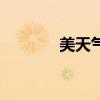 美天氣（關于美天氣的介紹）