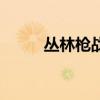 叢林槍戰（關于叢林槍戰的介紹）