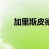 加里斯皮德（關于加里斯皮德的介紹）