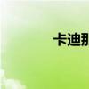 卡迪那（關于卡迪那的介紹）