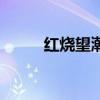 紅燒望潮（關于紅燒望潮的介紹）