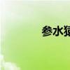 參水猿（關于參水猿的介紹）