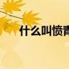什么叫憤青（關于什么叫憤青的介紹）
