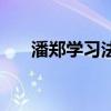 潘鄭學習法（關于潘鄭學習法的介紹）