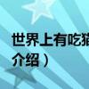 世界上有吃貓鼠嗎（關于世界上有吃貓鼠嗎的介紹）