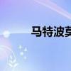 馬特波莫（關于馬特波莫的介紹）