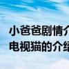 小爸爸劇情介紹電視貓（關于小爸爸劇情介紹電視貓的介紹）