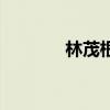 林茂根（關于林茂根的介紹）
