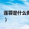 蓮蓉是什么做的（關于蓮蓉是什么做的的介紹）