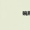 碗燕（關于碗燕的介紹）