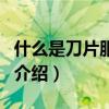 什么是刀片服務器（關于什么是刀片服務器的介紹）