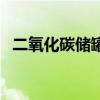 二氧化碳儲罐（關于二氧化碳儲罐的介紹）