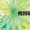 桃園礦（關于桃園礦的介紹）