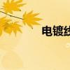 電鍍線（關于電鍍線的介紹）
