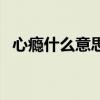 心癮什么意思（關于心癮什么意思的介紹）