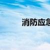 消防應急（關于消防應急的介紹）