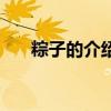 粽子的介紹（關于粽子的介紹的介紹）