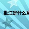 批注是什么意思怎么弄（批注是什么意思）