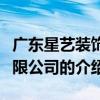 廣東星藝裝飾有限公司（關于廣東星藝裝飾有限公司的介紹）