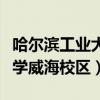 哈爾濱工業大學威海校區專業（哈爾濱工業大學威海校區）