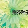 荊芥種子（關于荊芥種子的介紹）