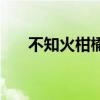 不知火柑橘（關于不知火柑橘的介紹）