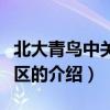 北大青鳥中關村校區（關于北大青鳥中關村校區的介紹）