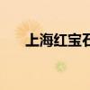 上海紅寶石（關于上海紅寶石的介紹）