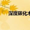 深度碳化木（關于深度碳化木的介紹）