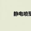 靜電噴塑（關于靜電噴塑的介紹）