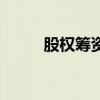 股權籌資（關于股權籌資的介紹）