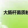 大腸桿菌質粒（關于大腸桿菌質粒的介紹）
