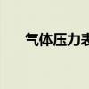 氣體壓力表（關于氣體壓力表的介紹）