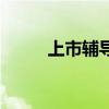 上市輔導（關于上市輔導的介紹）