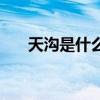天溝是什么（關于天溝是什么的介紹）