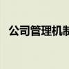 公司管理機制（關于公司管理機制的介紹）
