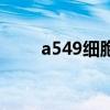 a549細胞（關于a549細胞的介紹）