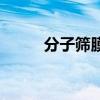 分子篩膜（關于分子篩膜的介紹）