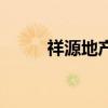 祥源地產（關于祥源地產的介紹）