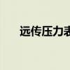 遠傳壓力表（關于遠傳壓力表的介紹）