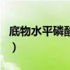 底物水平磷酸化（關于底物水平磷酸化的介紹）