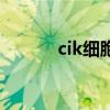cik細胞（關于cik細胞的介紹）