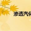 滲透汽化（關于滲透汽化的介紹）