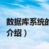 數據庫系統的特點（關于數據庫系統的特點的介紹）