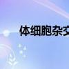 體細胞雜交（關于體細胞雜交的介紹）