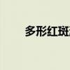 多形紅斑消退過程圖片（多形紅斑）